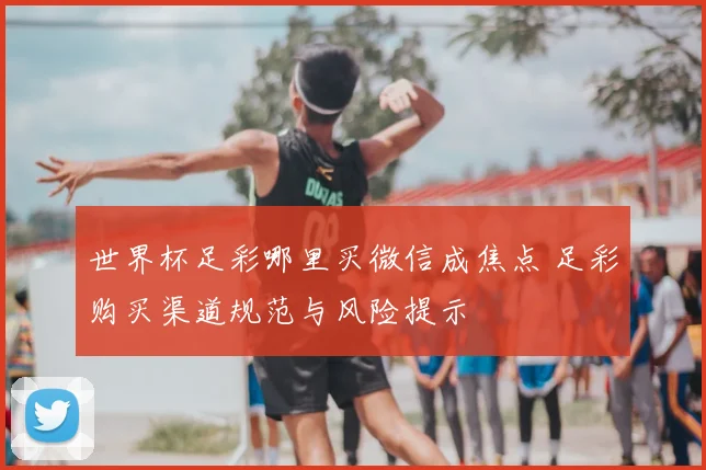 世界杯足彩哪里买微信成焦点 足彩购买渠道规范与风险提示