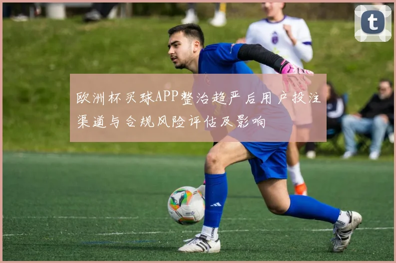 欧洲杯买球APP整治趋严后用户投注渠道与合规风险评估及影响