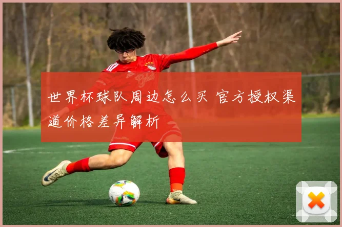 世界杯球队周边怎么买 官方授权渠道价格差异解析