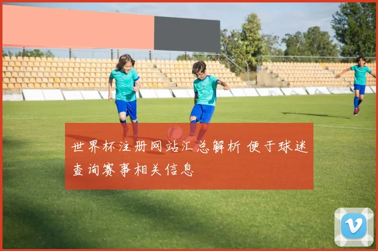 世界杯注册网站汇总解析 便于球迷查询赛事相关信息